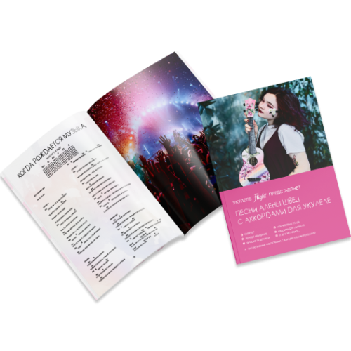 Songbook flight sb-shvetz